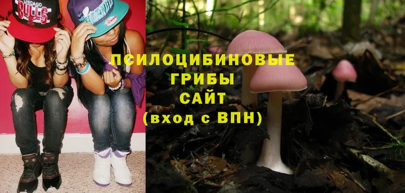 Галлюциногенные грибы Psilocybine cubensis  закладки  Углегорск 